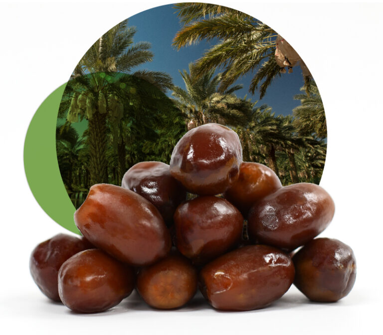 zahidi dates